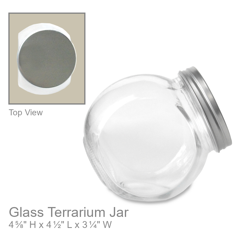 Terrarium Small Glass Jar With Lid | Office Candy Jar