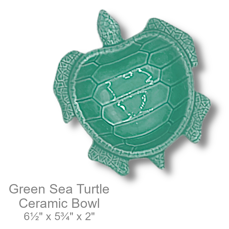 Sea Turtle Bowl Ocean Beach | Office Candy Bowl