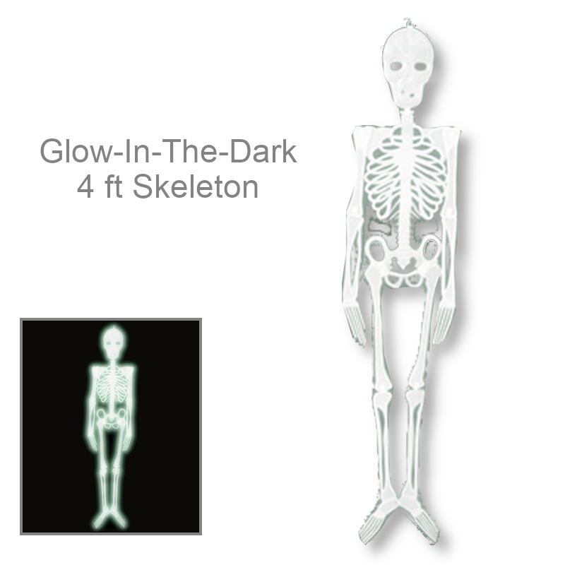 Glow-In-The-Dark Plastic Skeleton | Party Decorations