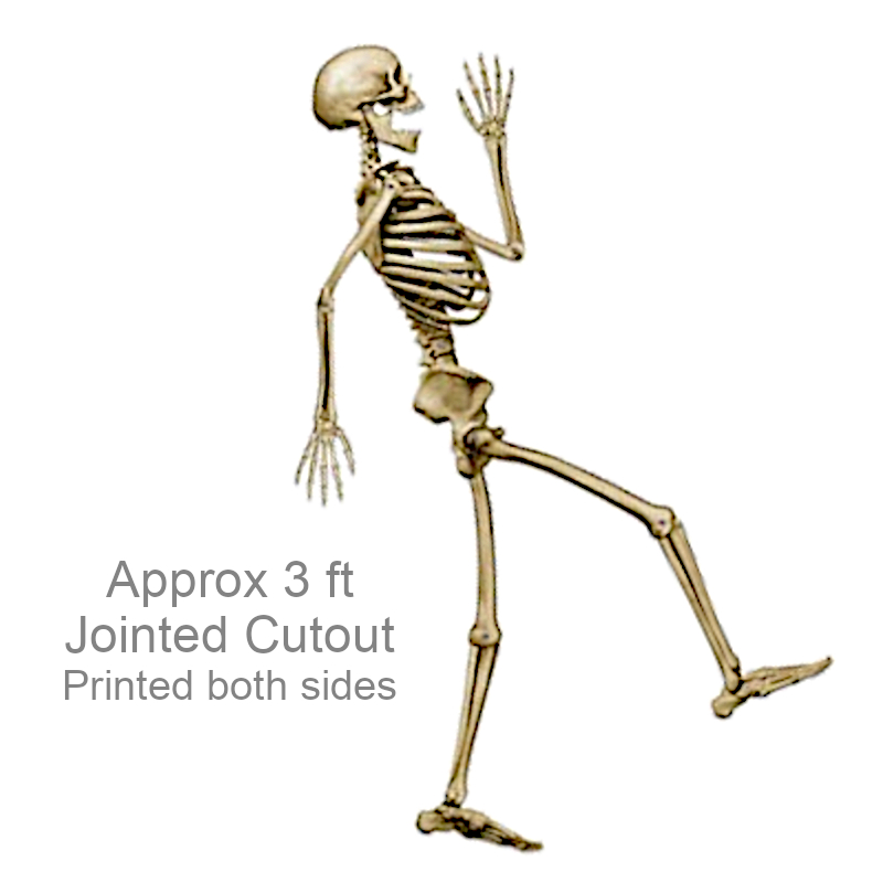 Funny Side View Skeleton Cutout | Party Decorations