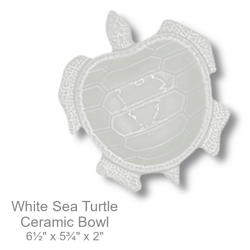 Shop Now Sea Turtle Bowl Ocean Beach | Office Candy Bowl