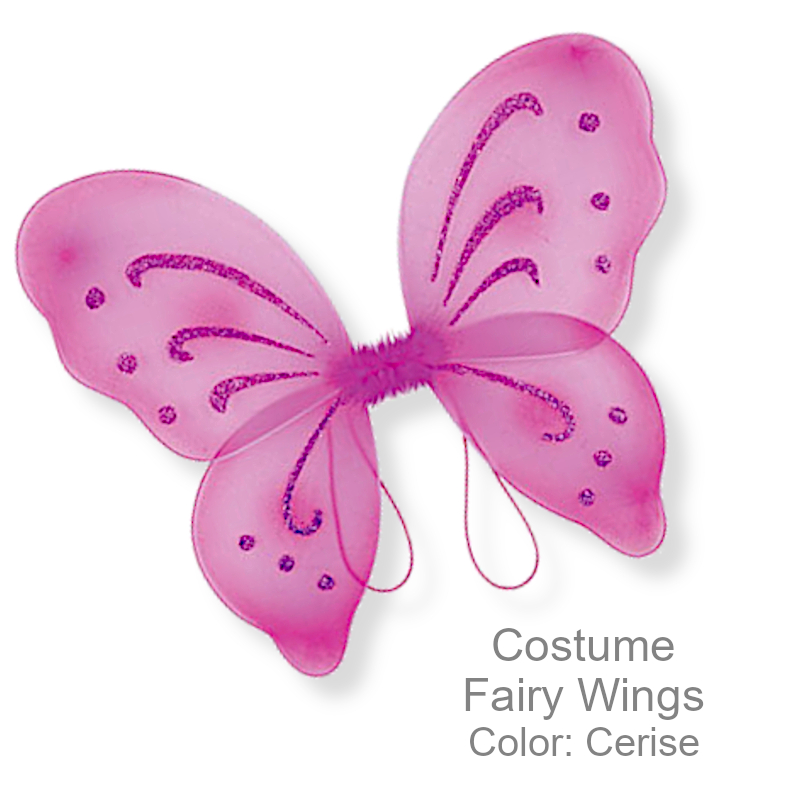 Fairy Costume Wings | Halloween Costumes & Accessories