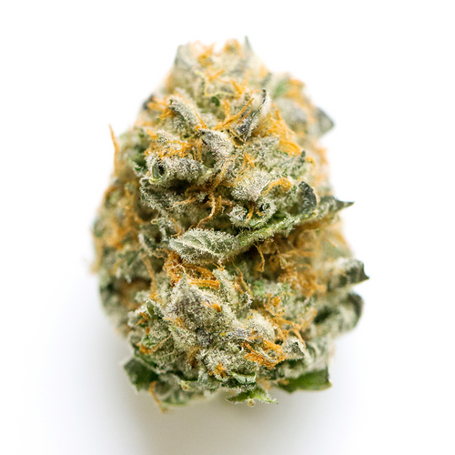 Bolo Runtz Ultra-Exotic THCa Flower (Hybrid) Bolo Runtz Ultra-Exotic THCa Flower (Hybrid)