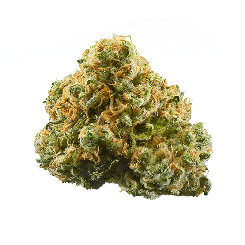 Pineapple Express Ultra-Exotic THCa Flower (Sativa)