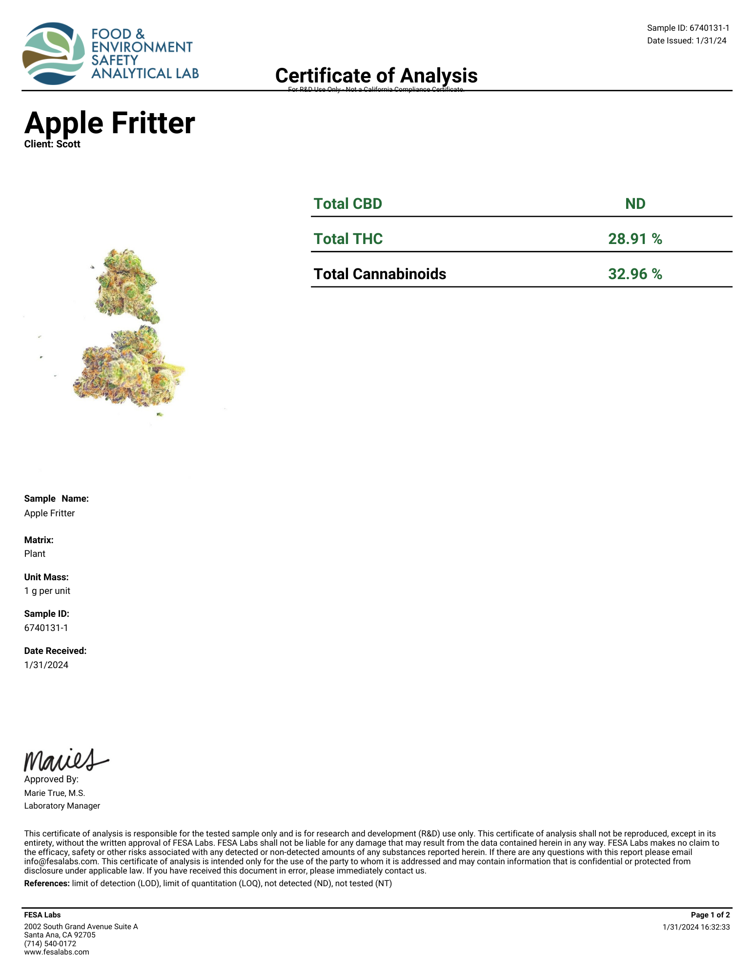 apple-fritter-1.png