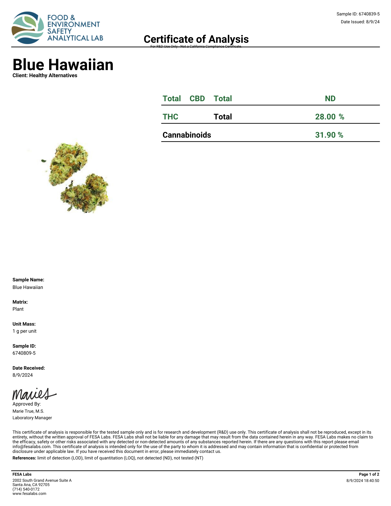 blue-hawaiian-1.png blue-hawaiian-1.png