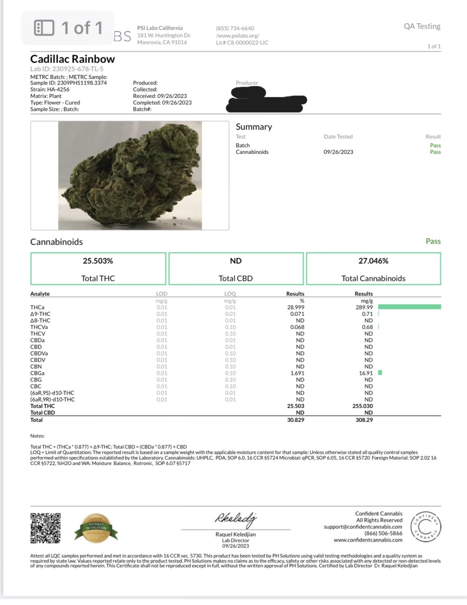 Cadillac Rainbow Testing Results