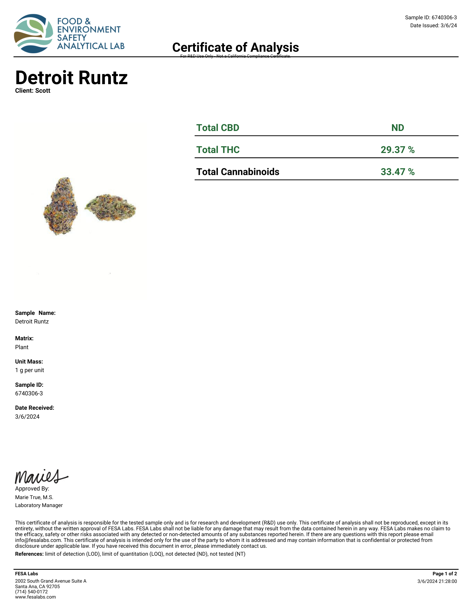 detroit-runtz-1.png