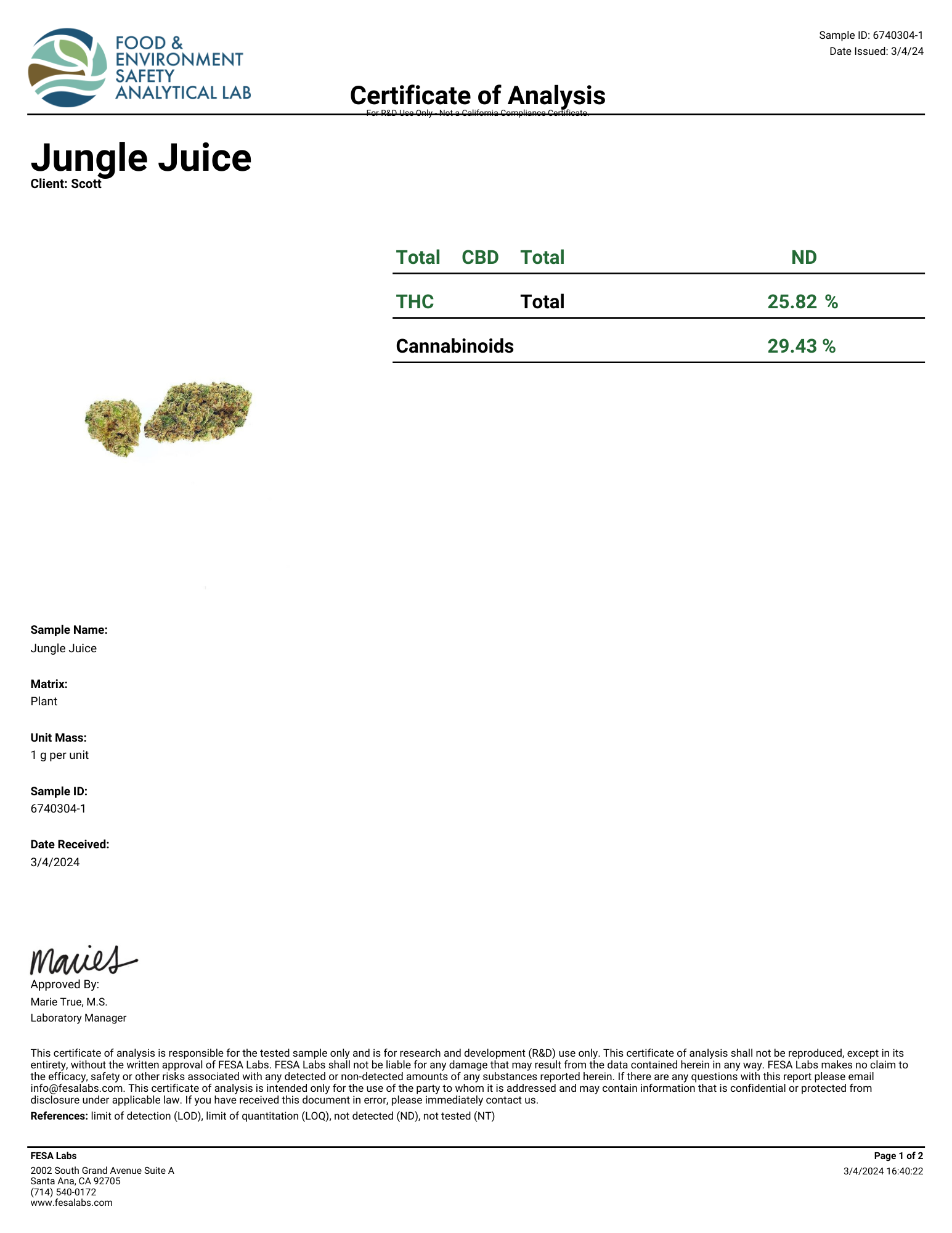 junglejuiceaa29h324.pdf.png