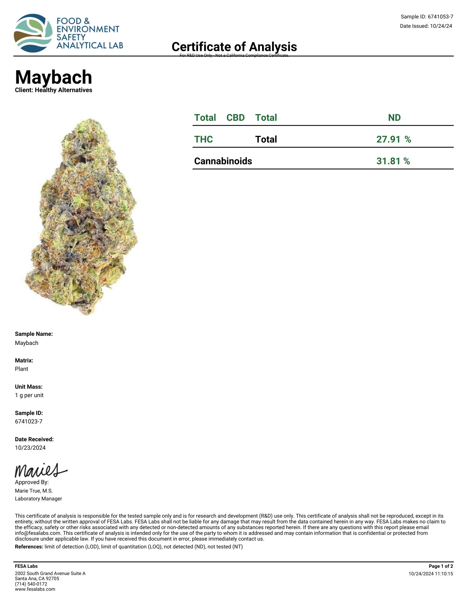 maybach-1.png