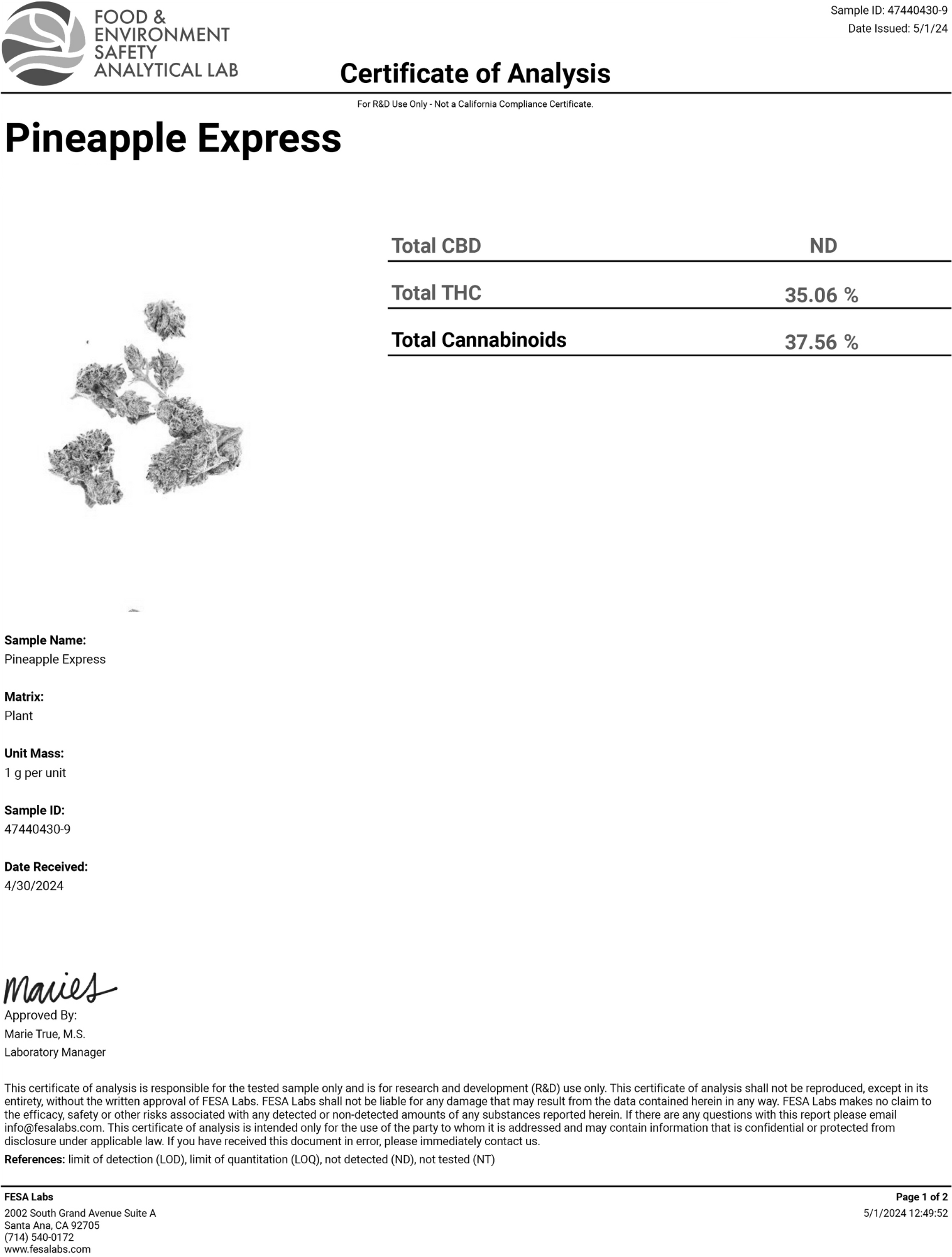 pineapple-express-1.pdf.png