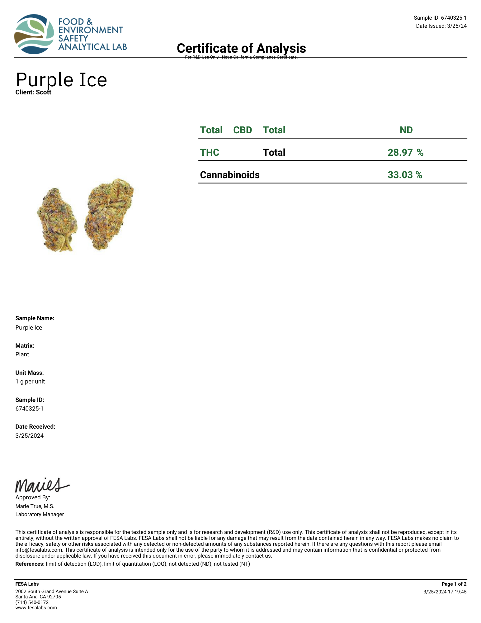 purple-ice-1.png