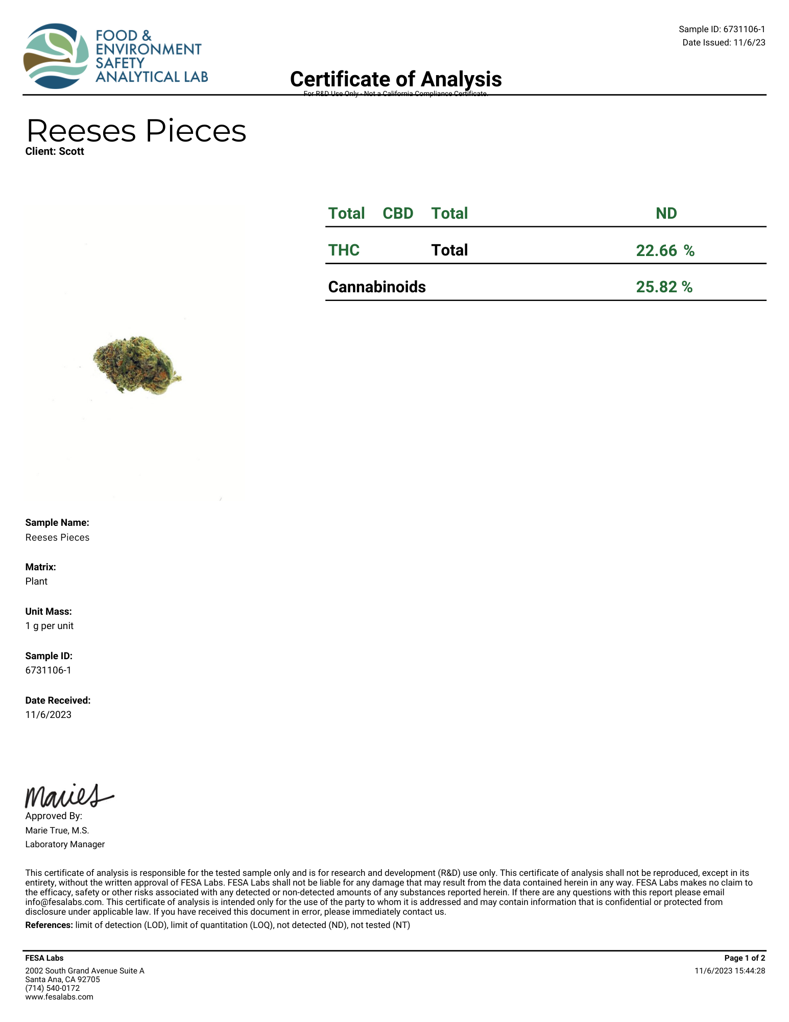 reeses-pieces-3-.pdf.png