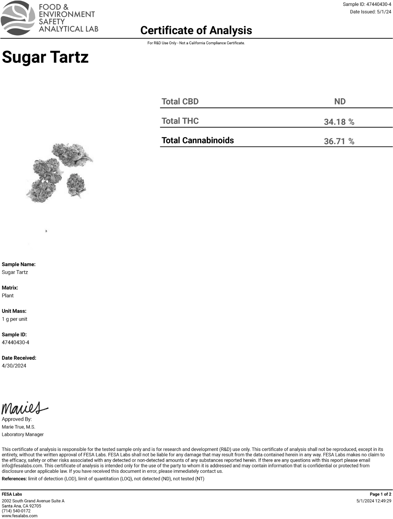 sugar-tartz-1.pdf.png