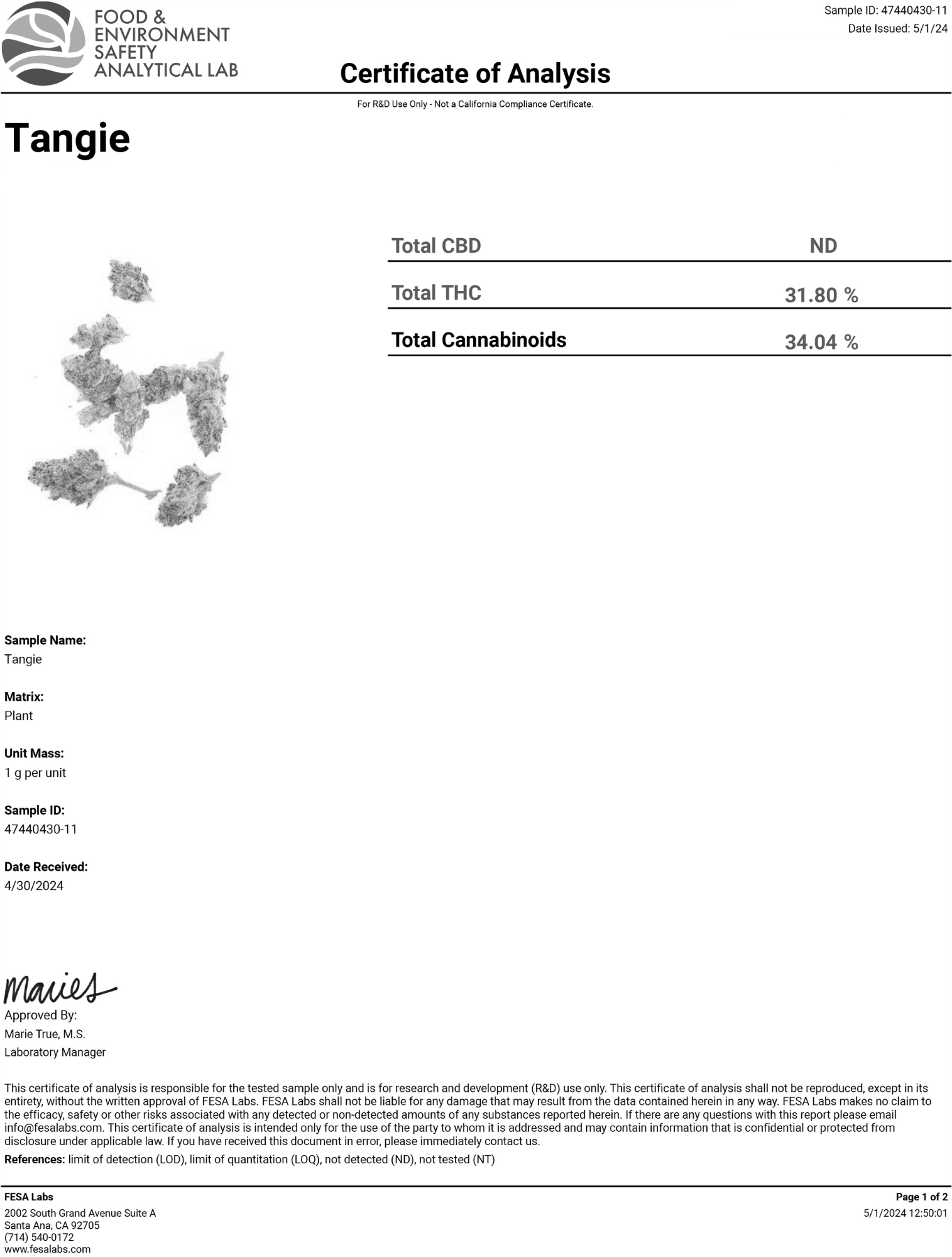 tangie-1.pdf.png