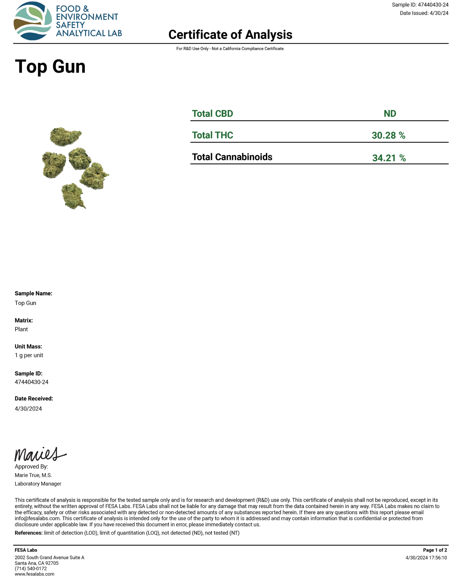 top-gun-1.pdf.png