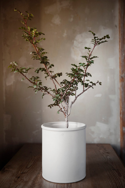 Ernst Sweden - Large White Stoneware Plant Pot (20.5 cm)