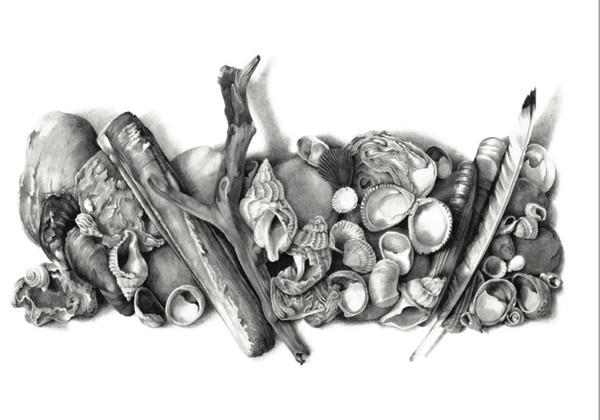 Katy Harrald Shell Bay Card