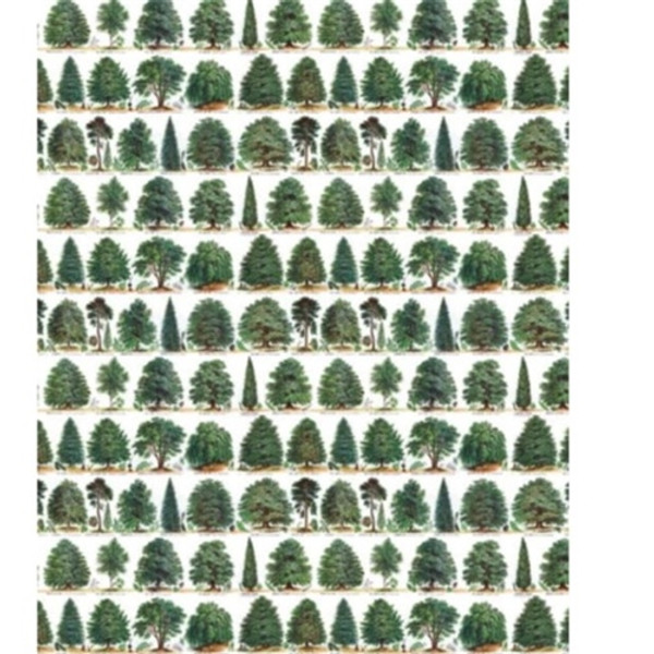 M&G Our British Forest Trees Gift Wrap