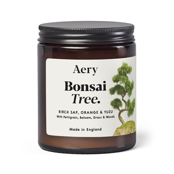 Aery Bonsai Scented Jar Candle - Birch Sap Orange and Yuzu