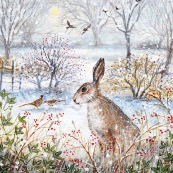 Frosty Morning & Hare Christmas Card Pack