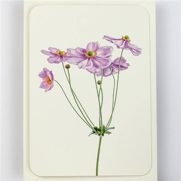Canonbury Press Anemone Card