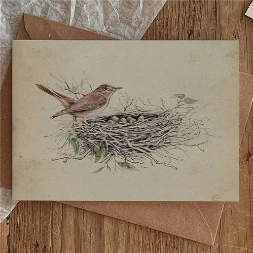 Brooke Marie Nightingale Nest Card