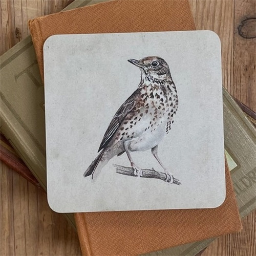 Brooke Marie Song Thrush Coaster