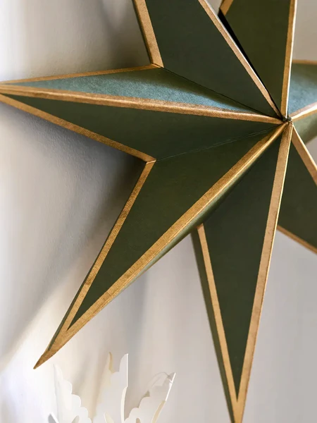 Garden Trading Moss & Gold Maddox Christmas Star