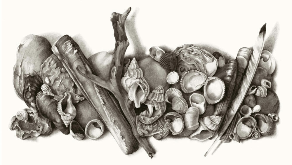 Katy Harrald Dorset Pencil Artisit