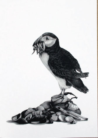 Katy Harrald Puffin Card