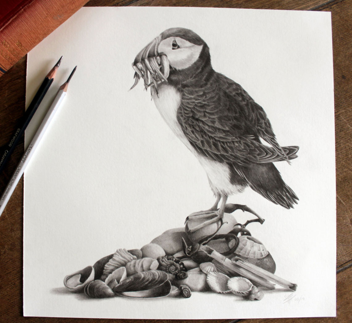 Katy Harrald Puffin Card