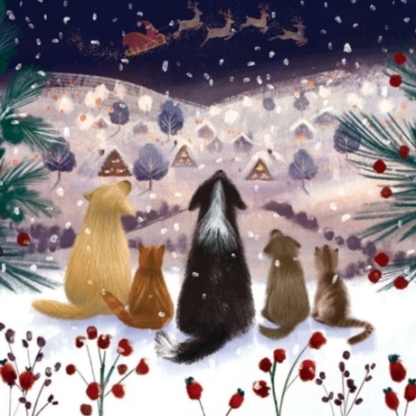 A Winters Tale Christmas Card Pack