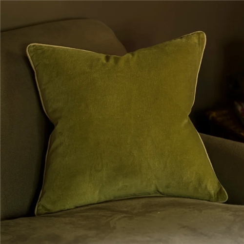 Meanwhile Lichen Velvet 50 x 50 Cushion