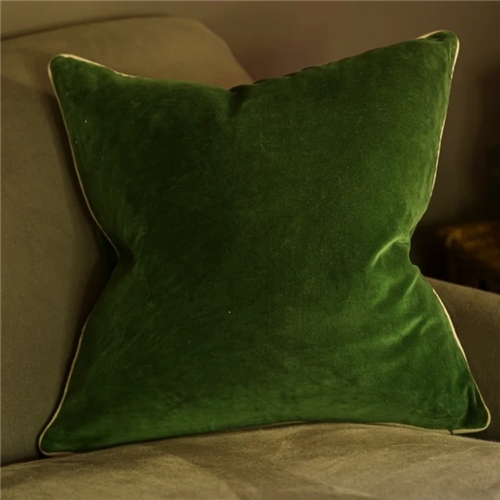 Meanwhile Parrot Velvet 50 x 50 Cushion