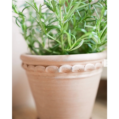 Interiors Collection Tuscan Terracotta Pot Small
