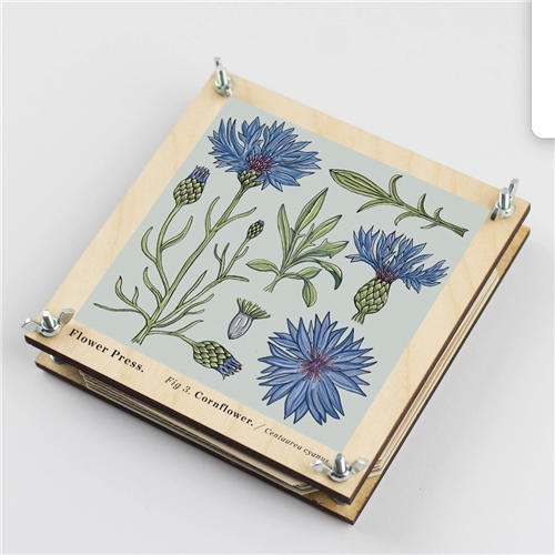 Studio Wald Flower Press - Cornflower