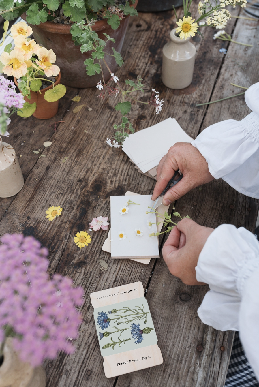 Studio Wald Pocket Flower Press - Cornflower