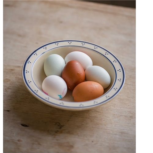 Morgan Wright The Breakfast Collection Collection Bowl - Blue