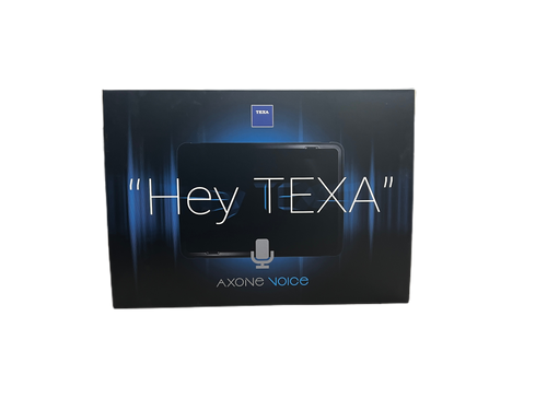 Texa AXONE Voice Tablet: The ultimate hands-free diagnostic tool for professional automotive technicians.