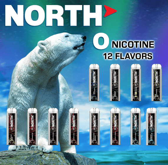 North Disposable Vape | Zero Nicotine 5000 Puffs | I Love Vape