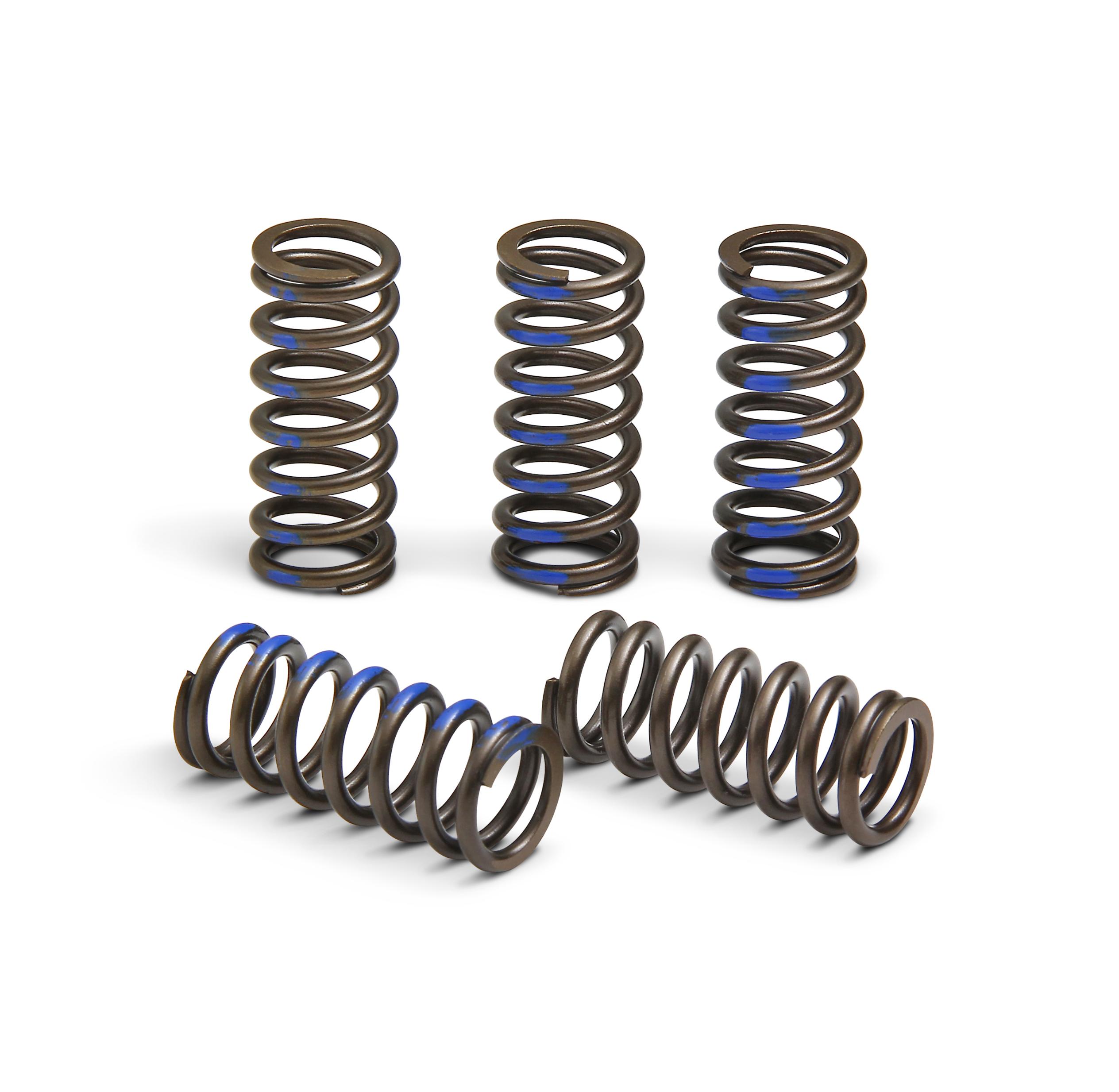 Pro Circuit - Clutch Springs - CSY19065-CS