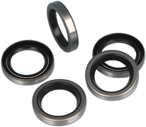 James Gaskets - Gasket Oil Seal Cam Gear Metal Od 5/pk - 83162-51