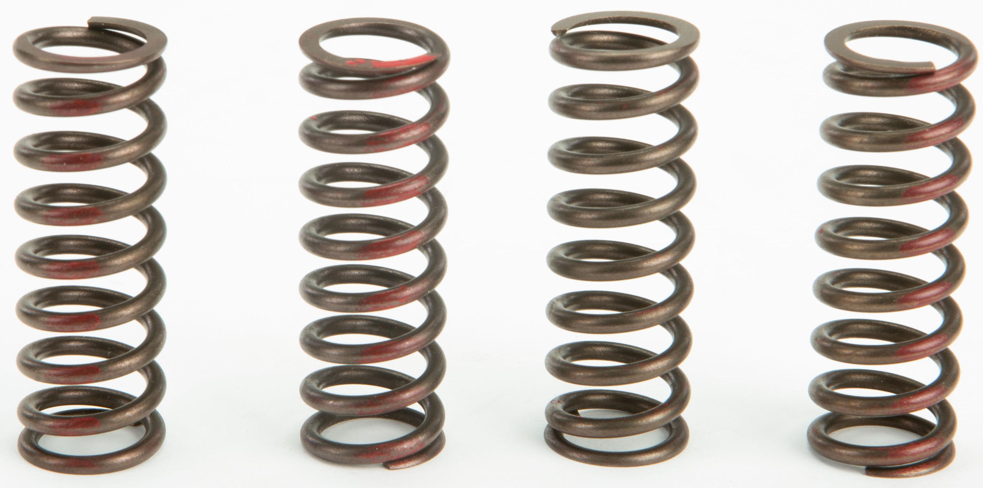 Pro Circuit - Clutch Springs - CSH09450