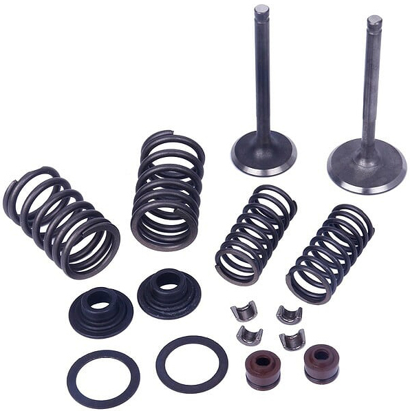 Mogo Parts - Valve Kit 250-300 - 61-0214