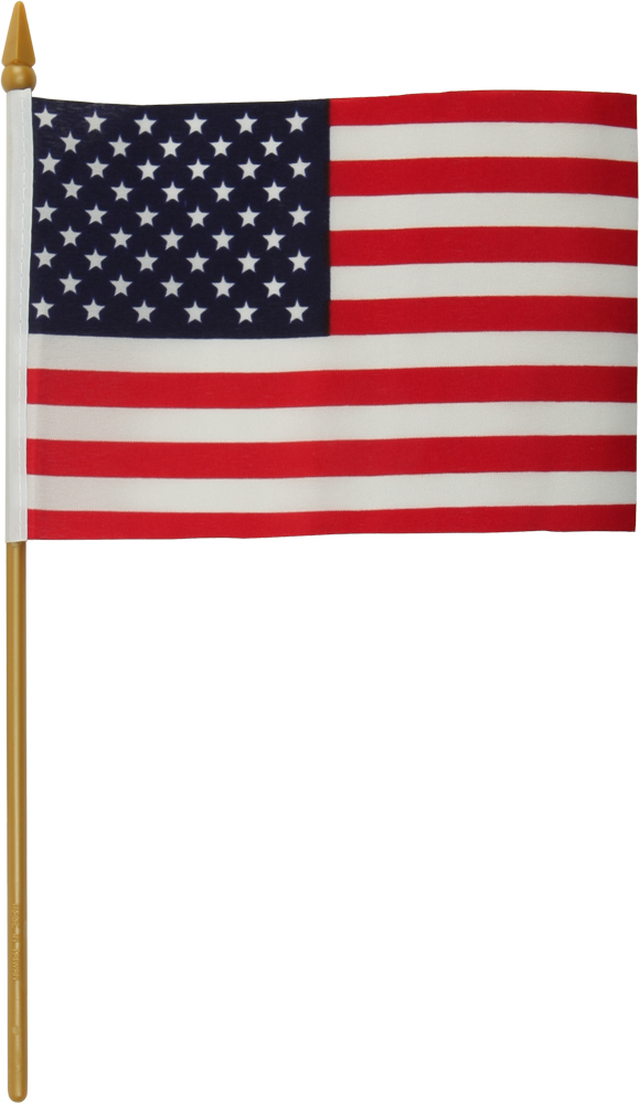 Harddrive - Replacement Flag 4x6 No Mount - 77-016