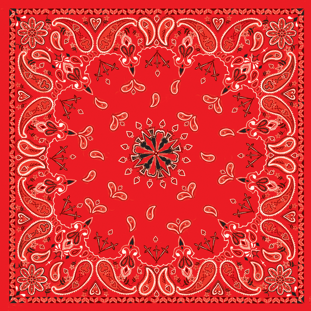 Zan - Bandanna Red Paisley - B003