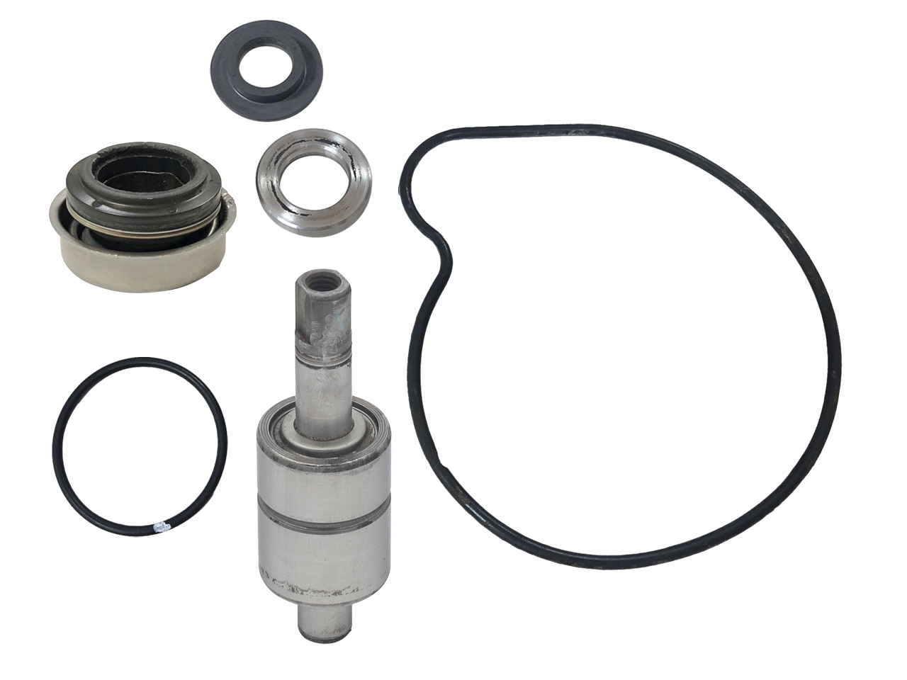 Sp1 - Water Pump Repair Kit Pol - SM-10100