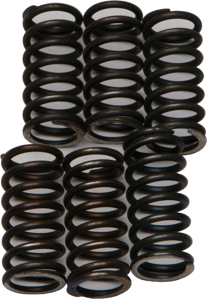 Ebc - Clutch Springs - CSK200