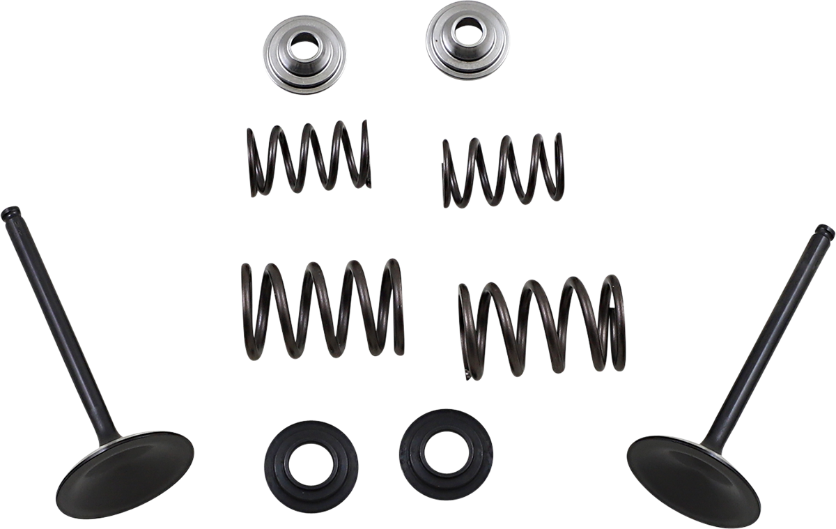 MOOSE RACING HARD-PARTS - VALVE KIT IN MSE LTR450